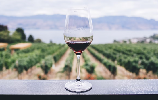 Ultimate Guide to Vegan Wine