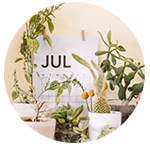 Shop for Vegan Calendar at Vegan Supermarket. 