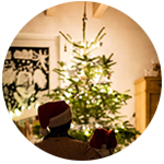 Shop for Vegan Christmas in the Vegan Calendar range at VeganSupermarket. 