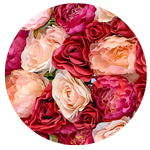 Shop for Vegan Valentine's Day in the Vegan Calendar range at VeganSupermarket. 